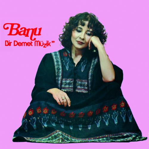 Banu Kırbağ - Bir Demet Müzik